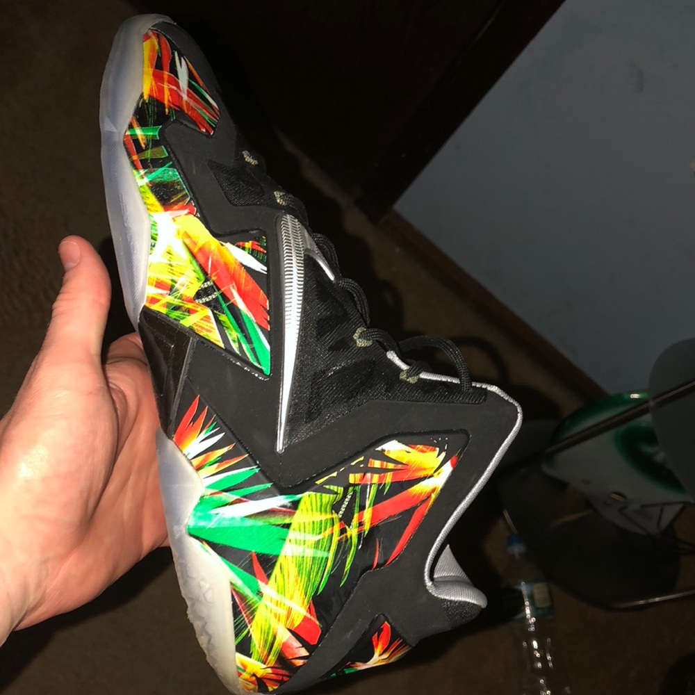 Lebron 12 Everglades